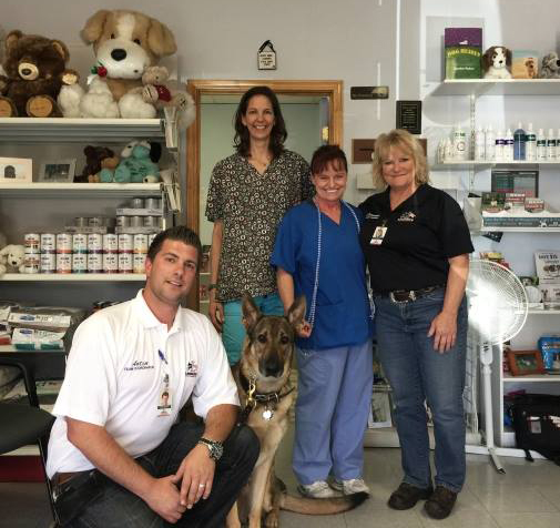 Affordable Veterinary Clinic