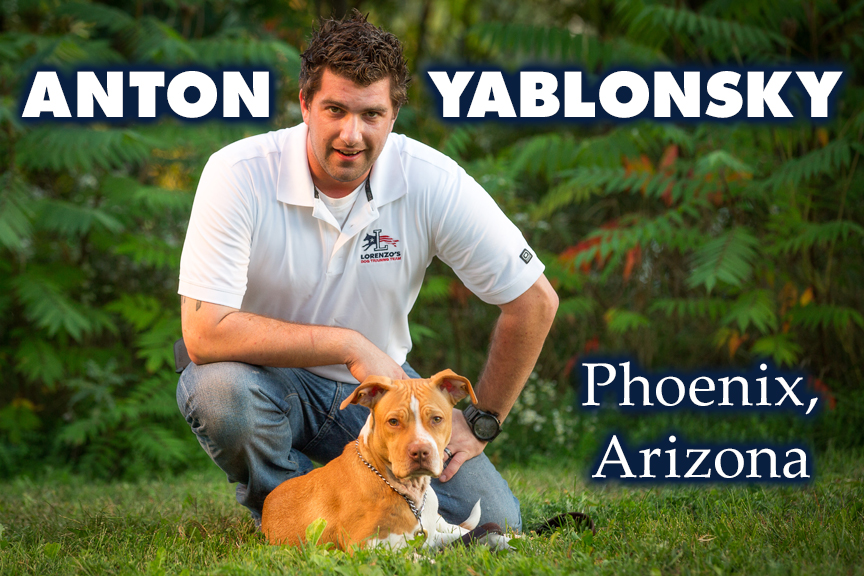 Anton Yablonsky Professional Dog Trainer