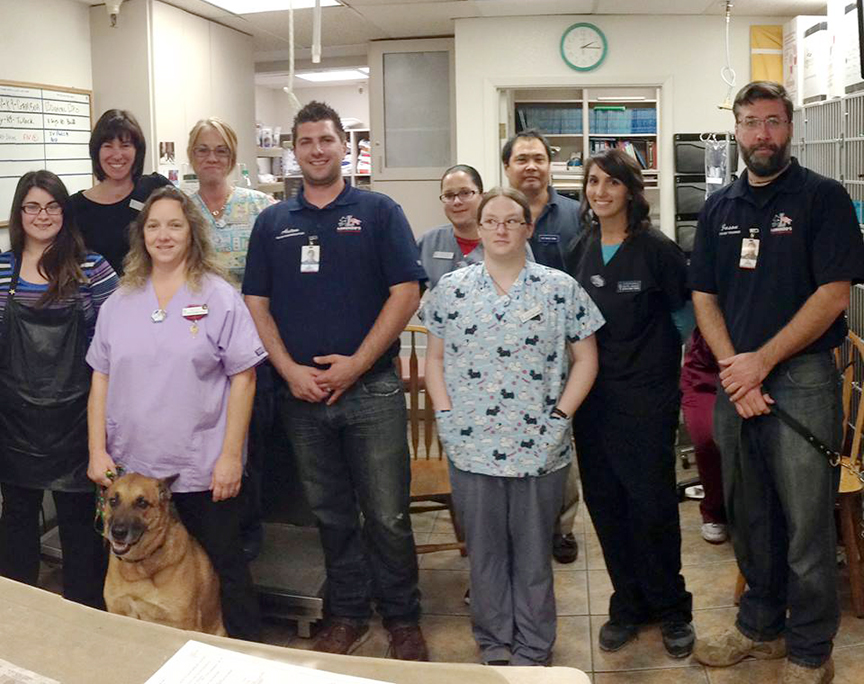 Bell Ridge Animal Hospital