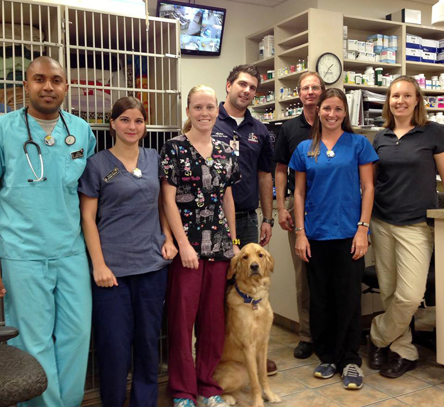 Dove Valley Animal Hospital