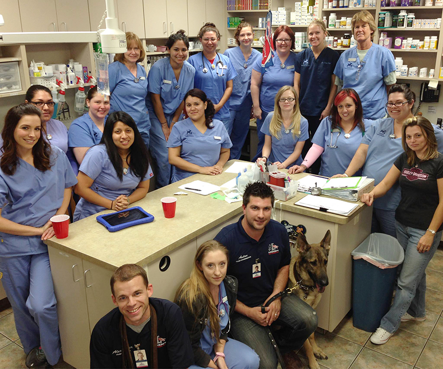 Goodyear Animal Hospital and Grooming