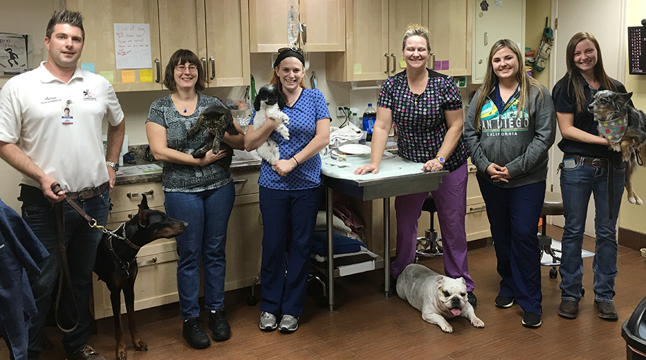 Indian Bend Animal Hospital