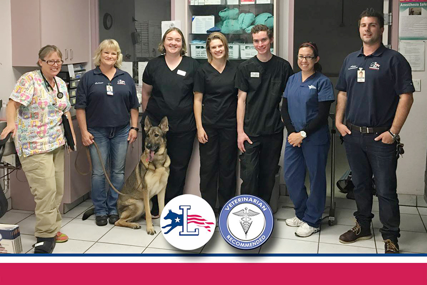 Queen Creek Veterinary Clinic