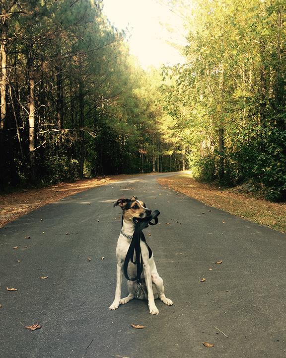 Allatoona Creek Park, Georgia