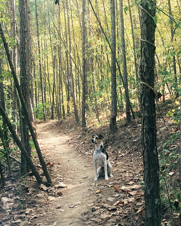 Allatoona Creek Park, Georgia