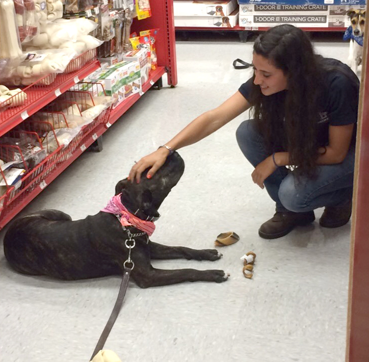 Petsmart with Tigger