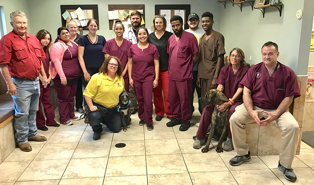 Dobb Animal Hospital