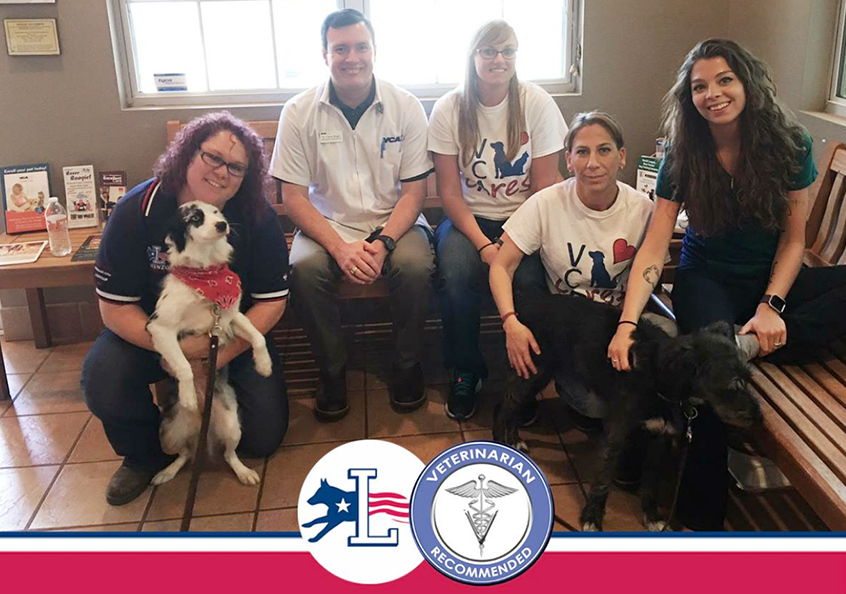 VCA Veterinary Hospital of Leon Springs