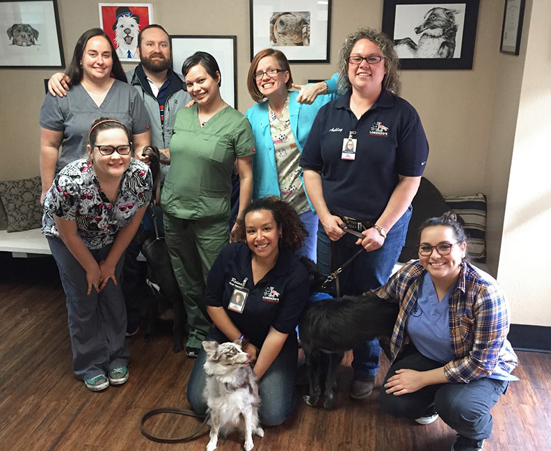 North Austin Animal Hospital