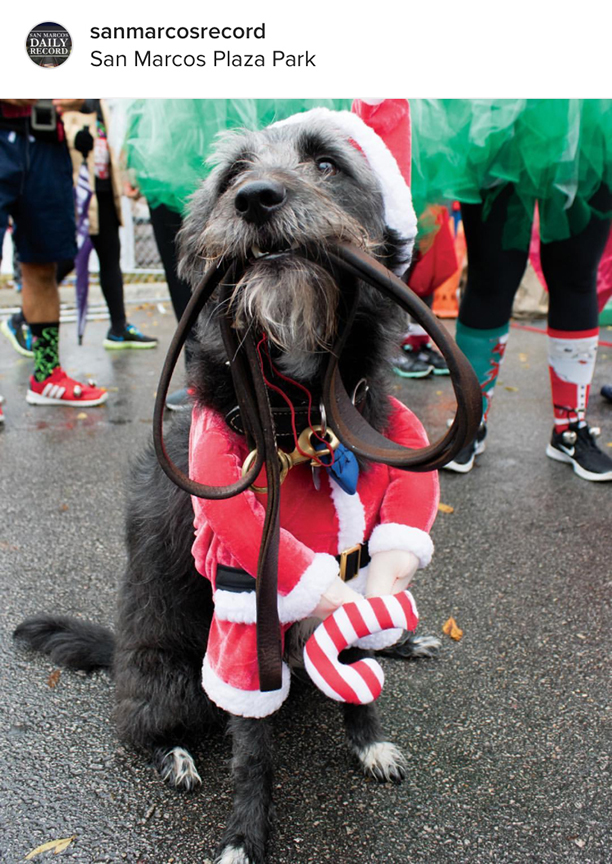 5K Jingle Bell Run - San Marcos, Texas