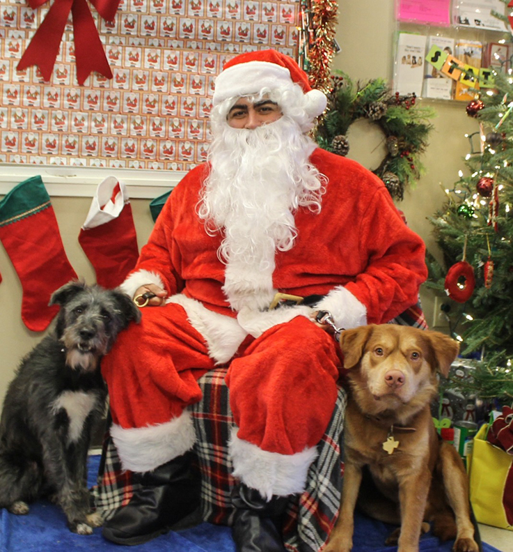 Ziggy & Willie Nelson with Santa