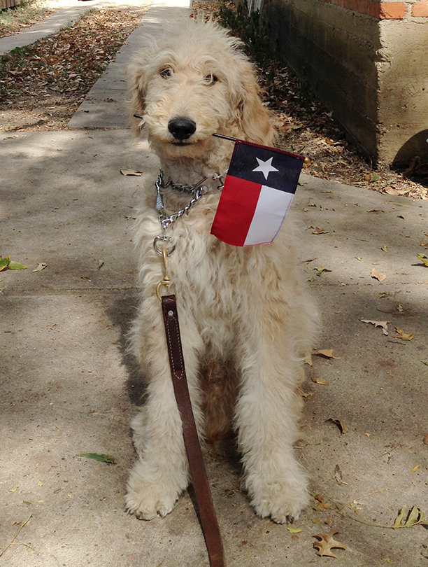 Lone Star Benny