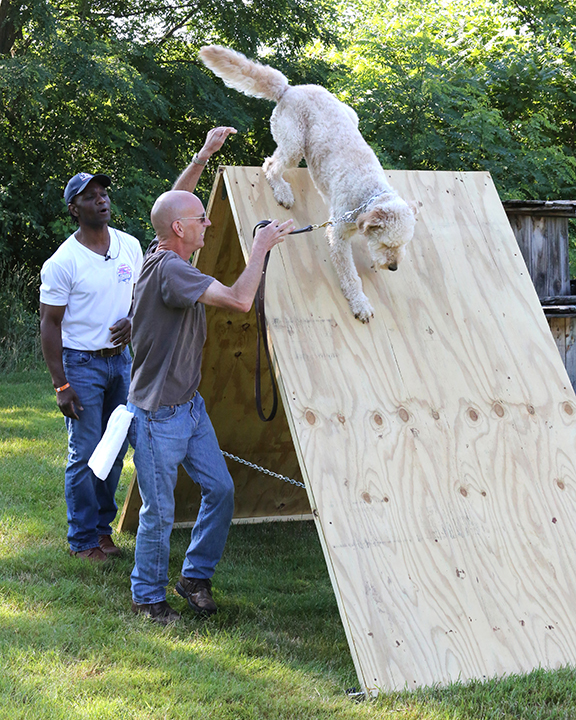 Obstacle Course