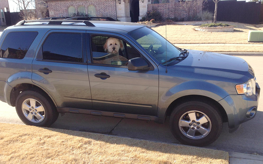 Benny Waiting for his Car Ride