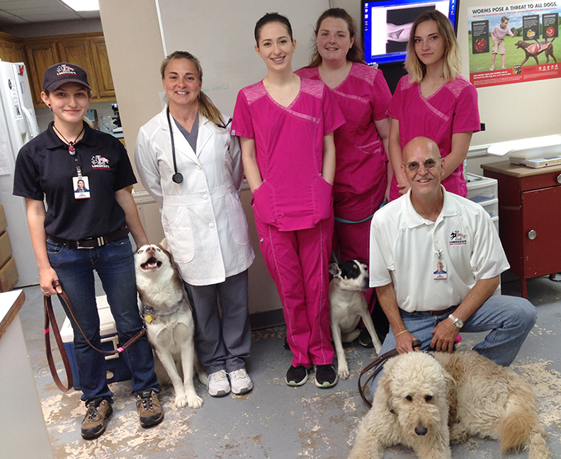 Country View Animal Hospital