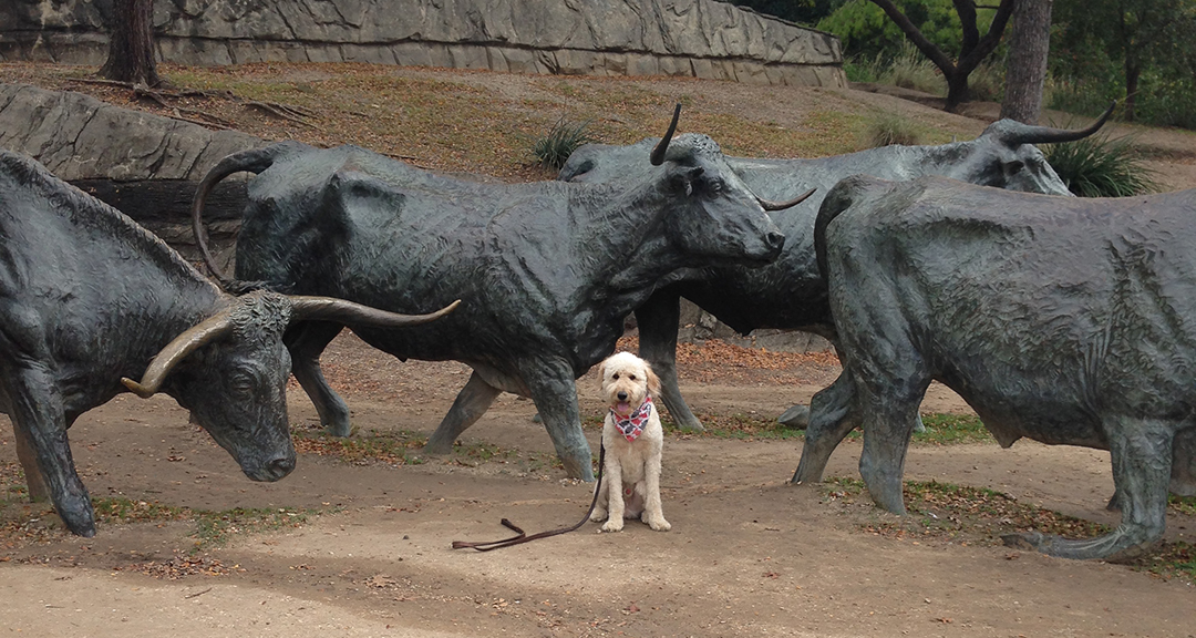 Pioneer Park in Dallas, Texas