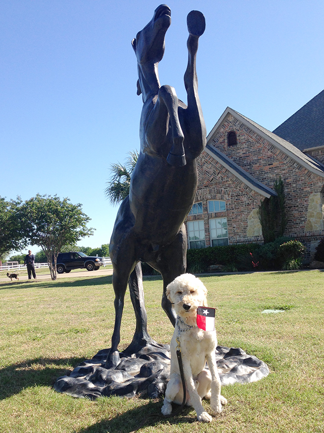 Benny with Texas Pride