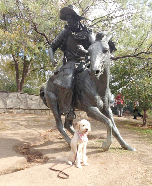 Pioneer Park in Dallas, Texas