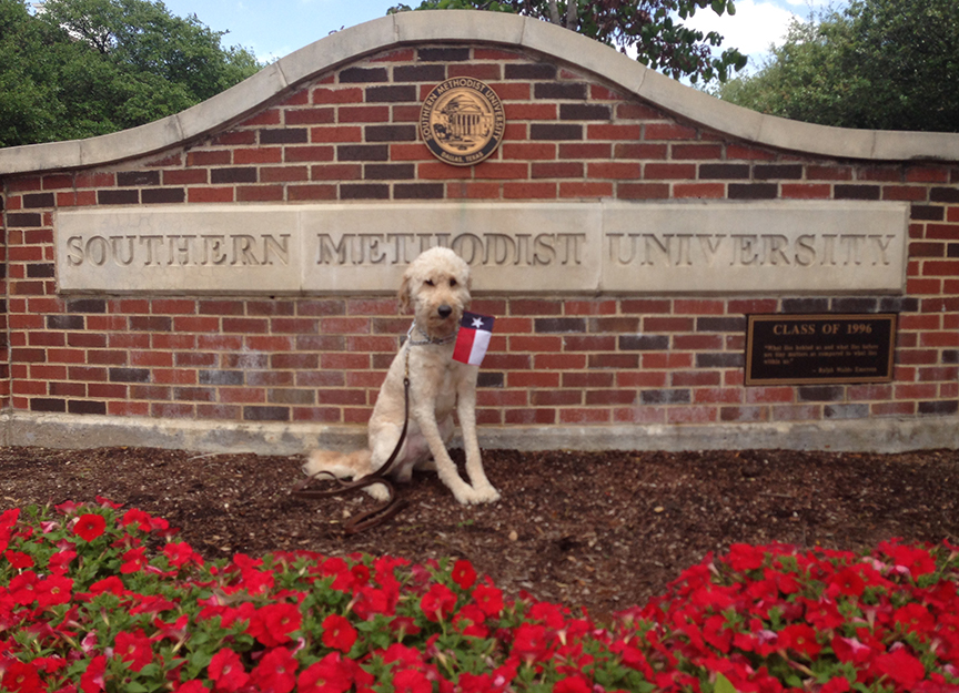 Southern Methodist University