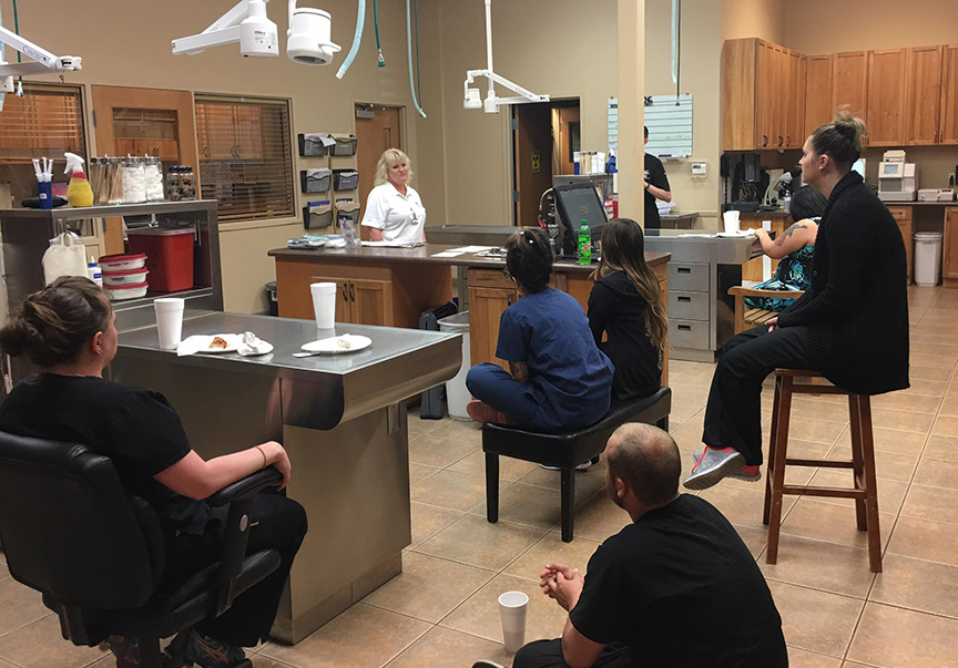 Ironwood Animal Hospital Demonstration - Phoenix