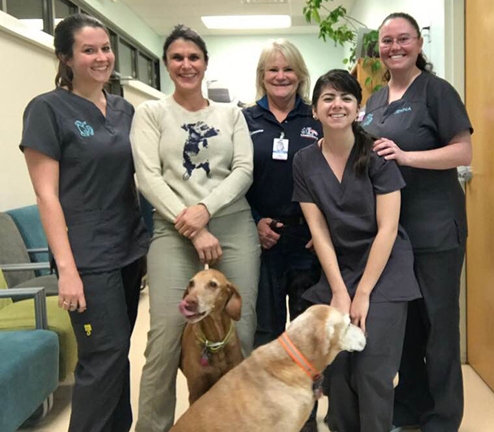 Northgate Animal Hospital