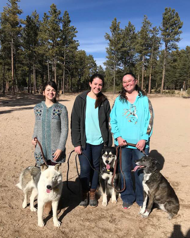 Northgate Animal Hospital Group Class - Colorado Springs