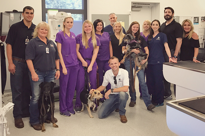 Scottsdale Animal Healthcare