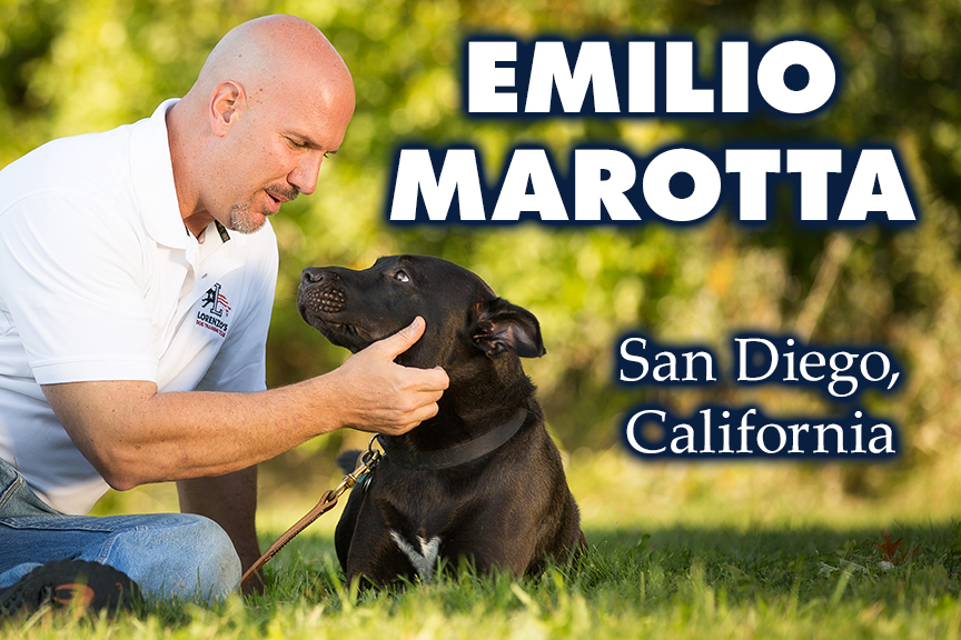 Emilio Marotta Professional Dog Trainer