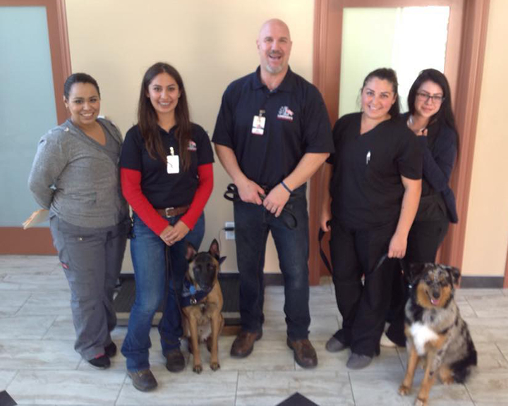 South Bay Veterinary Hospital