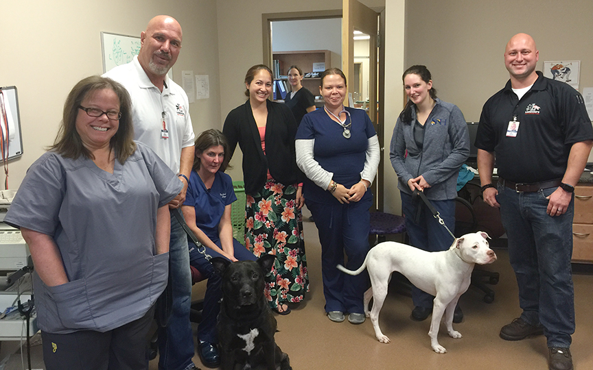 Southern New Hampshire Veterinary Hospital