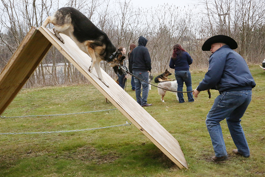 Utility Training