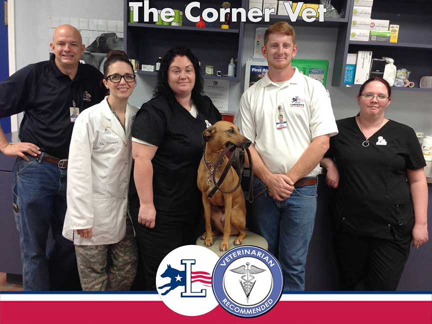 The Corner Vet