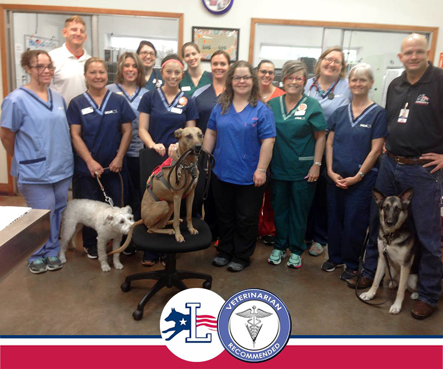 VCA Lakeside Animal Hospital