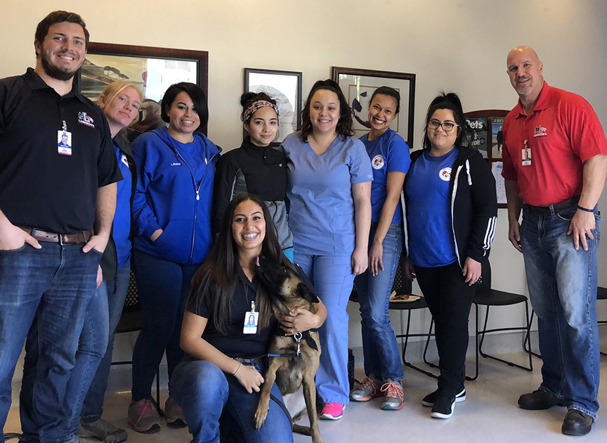 Our Pet Vets - Bayside Veterinary Hospital