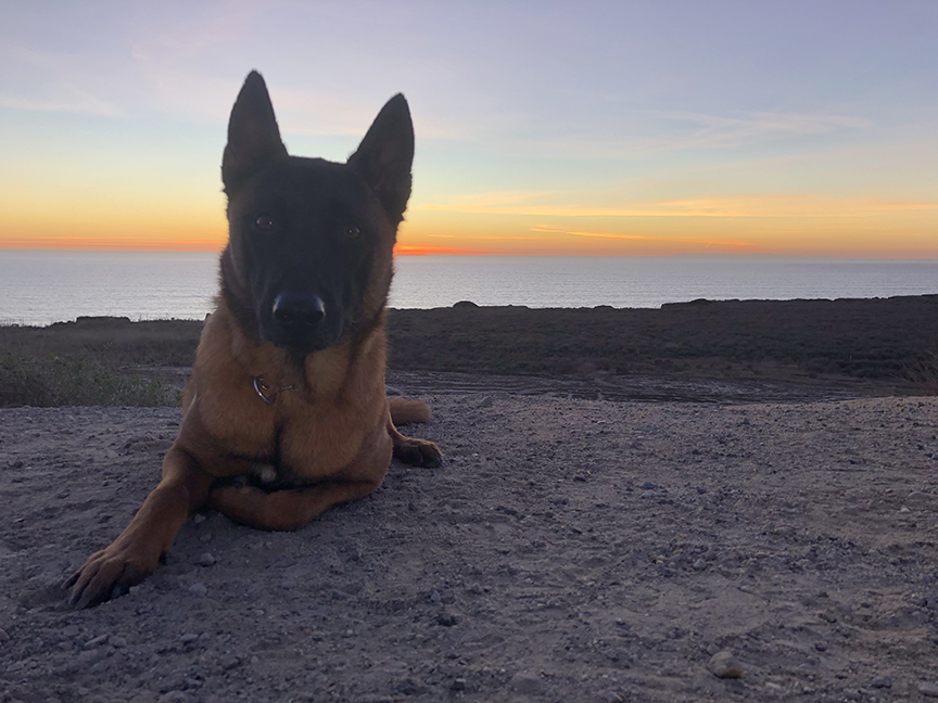 Camp Pendelton Sunset