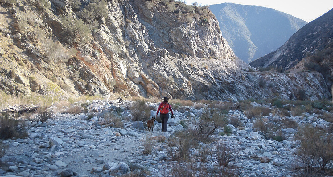 Los Angeles National Forest