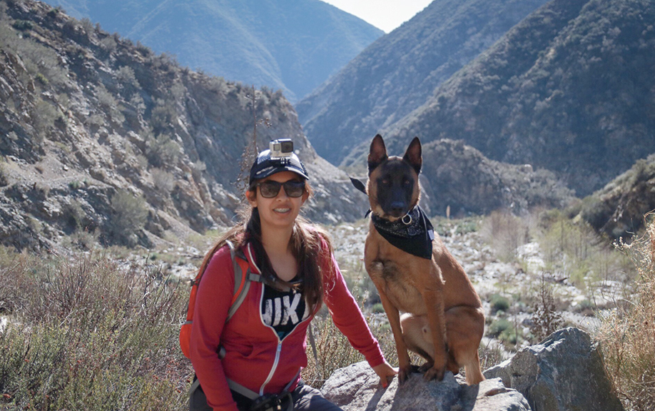 Los Angeles National Forest