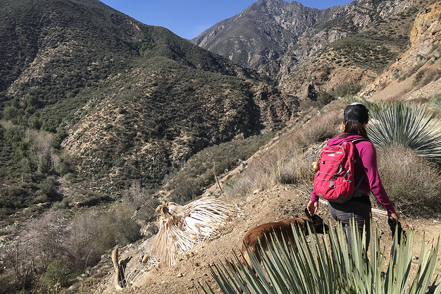 Los Angeles National Forest