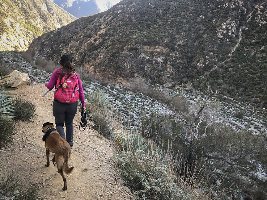 Los Angeles National Forest