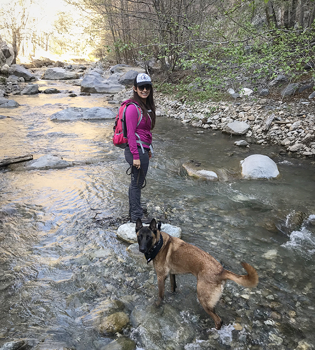 Los Angeles National Forest