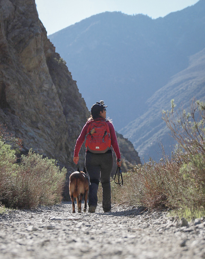 Los Angeles National Forest