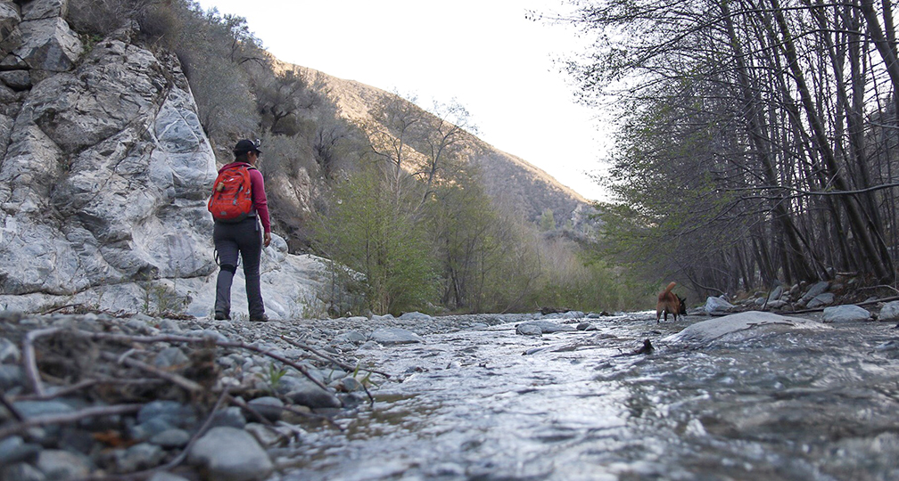 Los Angeles National Forest