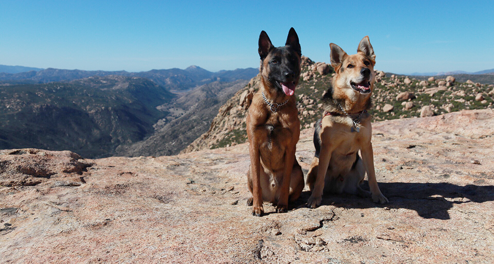 Morena Butte, California