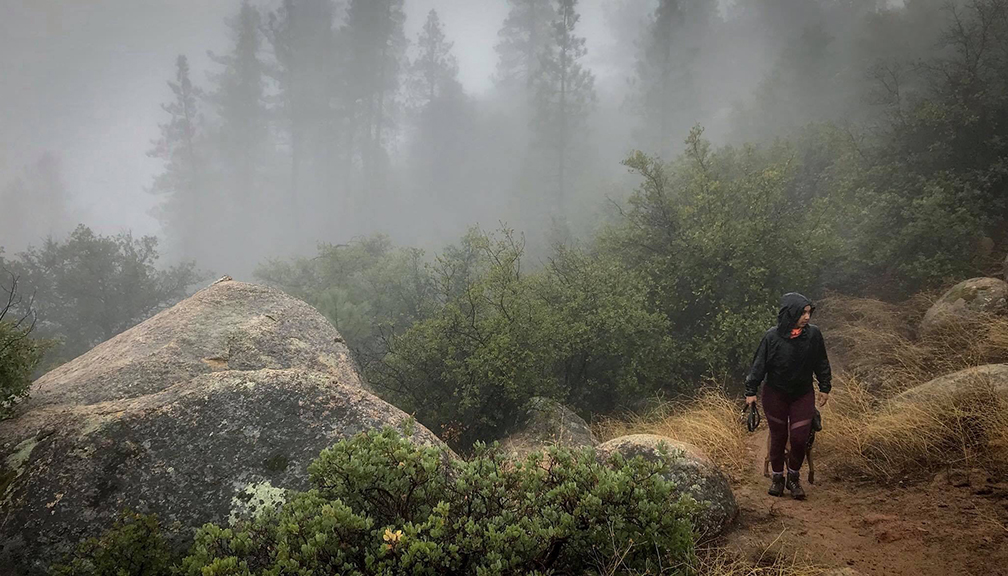 Hiking the Mountains of California