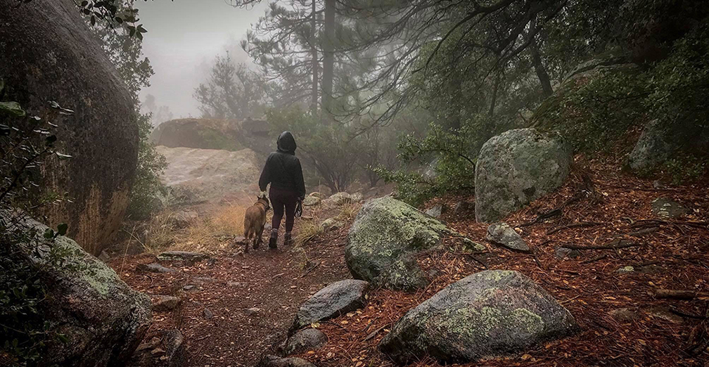 Hiking the Mountains of California