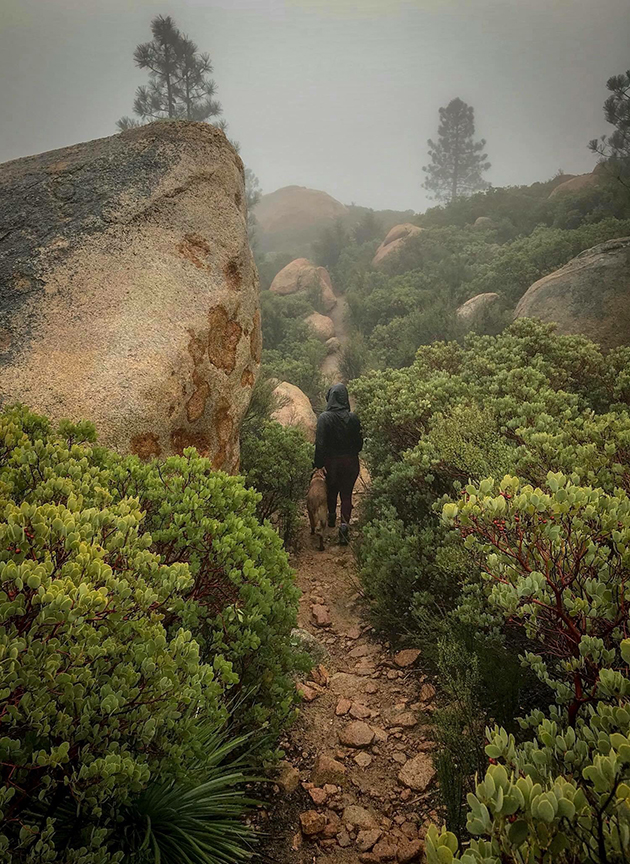 Hiking the Mountains of California