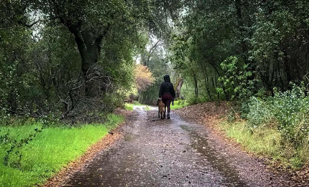 Hiking the Mountains of California