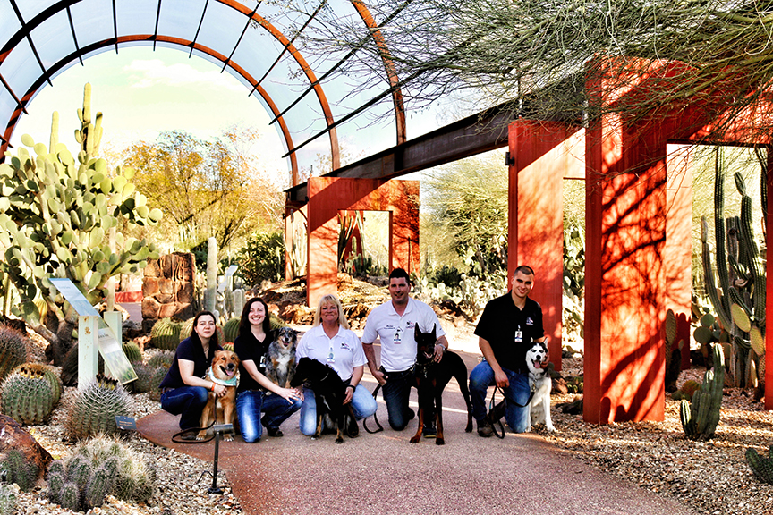 Desert Botanical Garden, Phoenix