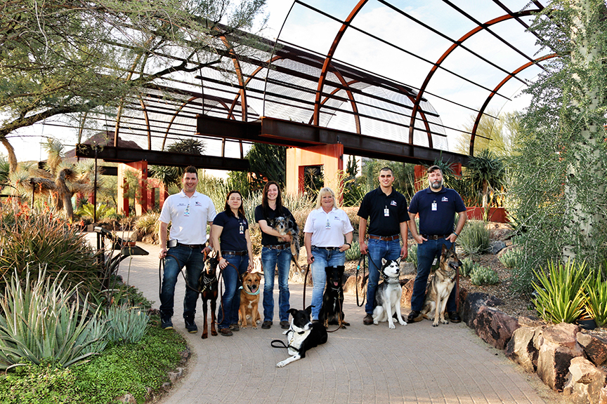 Desert Botanical Garden, Phoenix