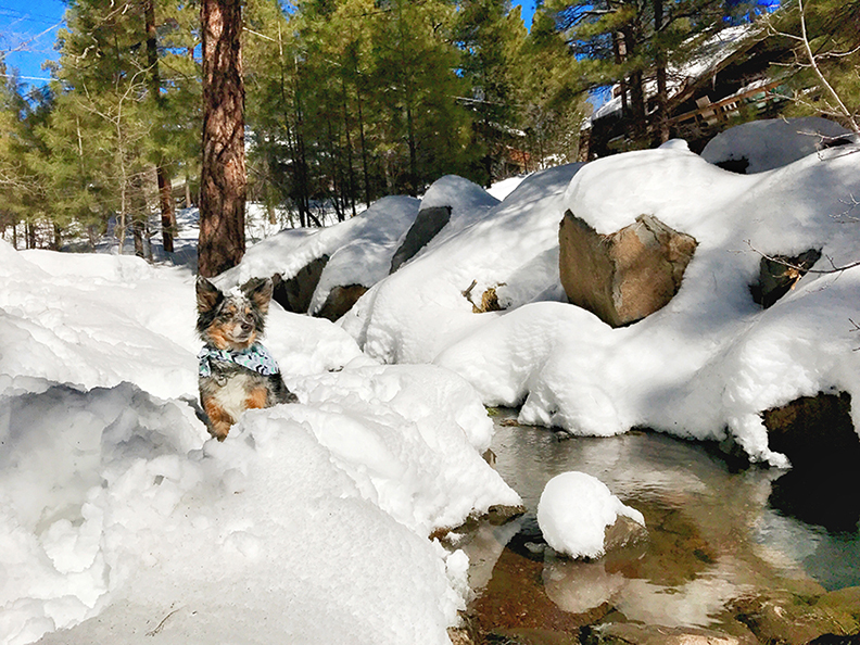 Flagstaff, Arizona